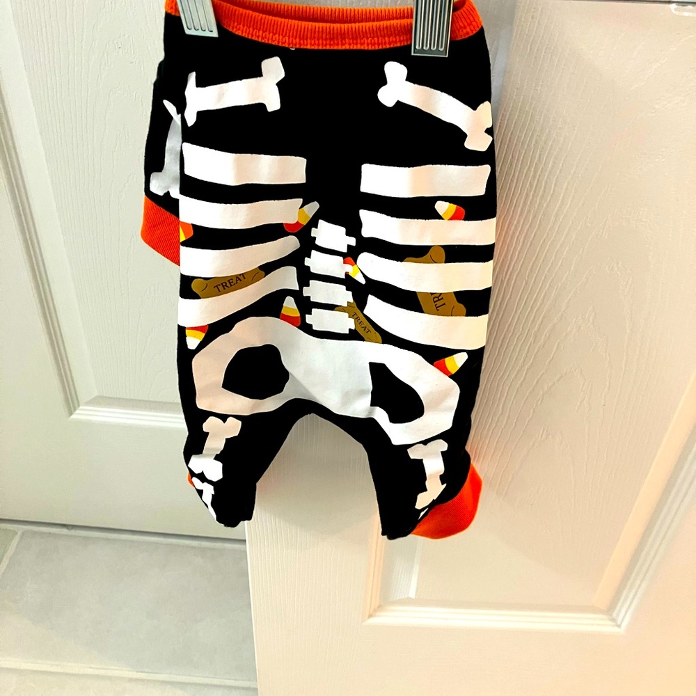 Small dog costume